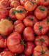 BIO Rajče Bührer-Keel - Solanum lycopersicum - bio semena - 8 ks