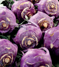 Kedluben raný modrý Blankyt - Brassica - semena - 50 ks