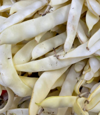Fazole keříčková Petronila - Phaseolus vulgaris - semena - 50 ks