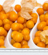 Mochyně peruánská - Physalis peruviana - semena - 10 ks