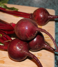 Řepa Bulls Blood - Beta vulgaris L. - semena - 50 ks