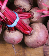 Řepa salátová Pablo F1 - červená kulatá - Beta vulgaris - semena - 50 ks