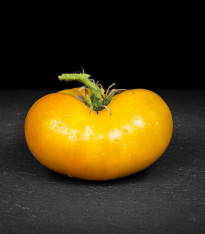 Rajče Azoychka - Solanum lycopersicum - semena - 8 ks