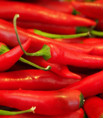 Chilli Kajenský pepř Thick - Cayenne peper - semena - 6 ks