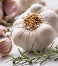 Sadbový česnek Vekan - Allium sativum - paličák - 1 balení