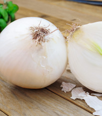 Cibule sazečka Silvermoon - Allium cepa - cibulky - 50 ks