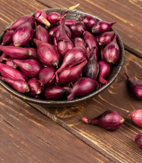 Cibule sazečka ozimá Rolein - Allium cepa - cibulky - 500 g