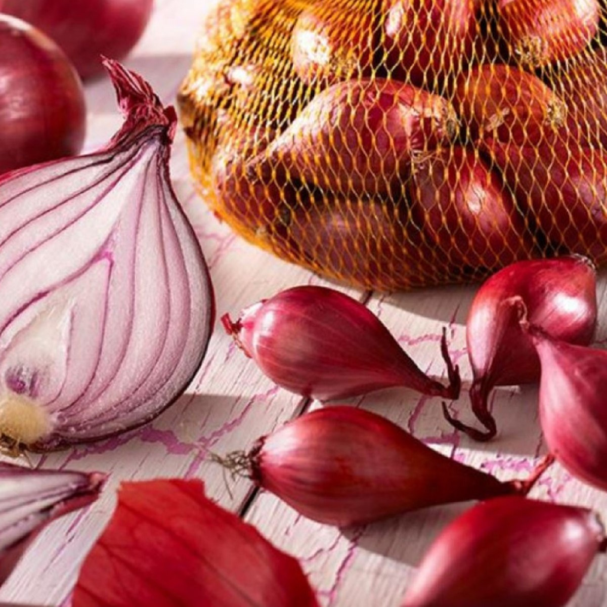 Cibule červená sazečka Rote  - Allium cepa - cibulky - 250 g