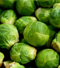 Kapusta růžičková Dolores F1 - Brassica oleracea var. gemmifera - semena - 40 ks