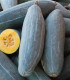 Tykev Blue Banana - Cucurbita maxima - semena - 5 ks