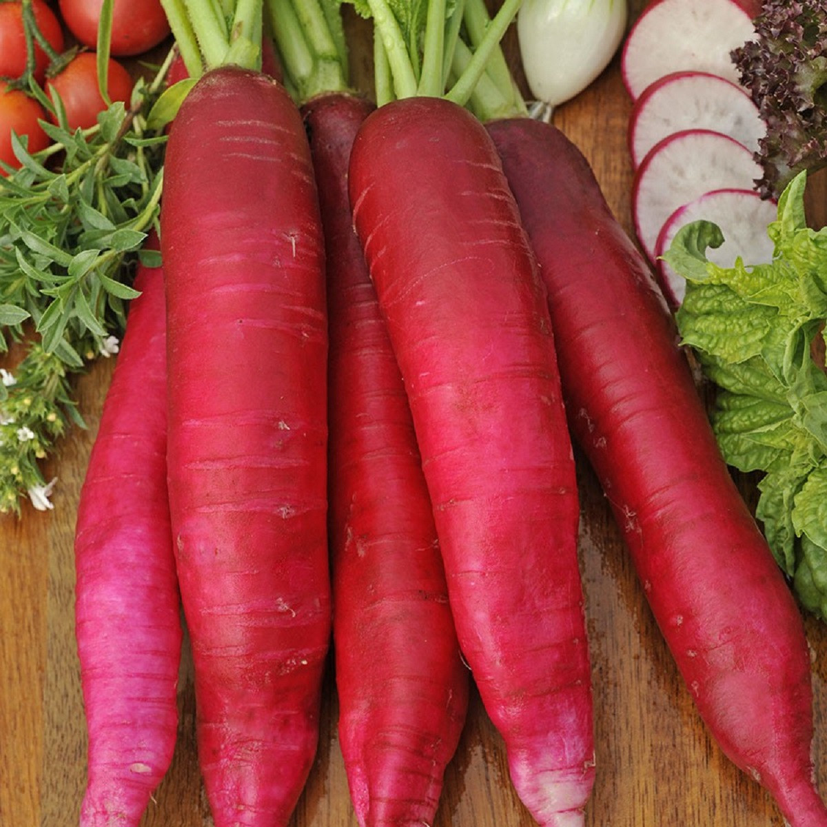 Ředkev Ostergruss Rosa 2 - Raphanus sativus - semena - 80 ks