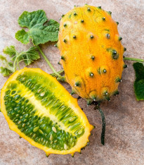 Africký meloun Kiwano - Cucumis metuliferus - semena - 8 ks