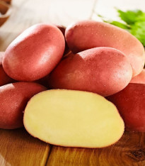 Sadbové brambory Bellarosa - Solanum tuberosum - brambory - 10 ks