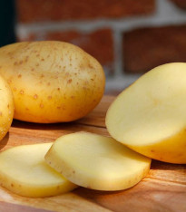 BIO Sadbové brambory Belana - Solanum tuberosum - brambory - 10 ks