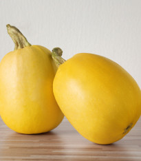 Tykev špagetová - Cucurbita pepo - semena - 5 ks