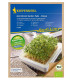 Microgreen - mikrozelenina - náhradní plátky BIO řeřichy - 3 ks