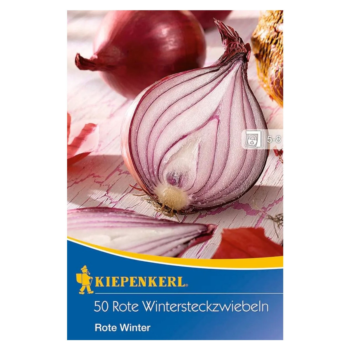 Cibule sazečka zimní Rote Winter - Allium cepa - cibulky - 50 ks
