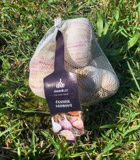 Sadbový česnek Janko - Allium sativum - paličák - cibule česneku - 1 balení