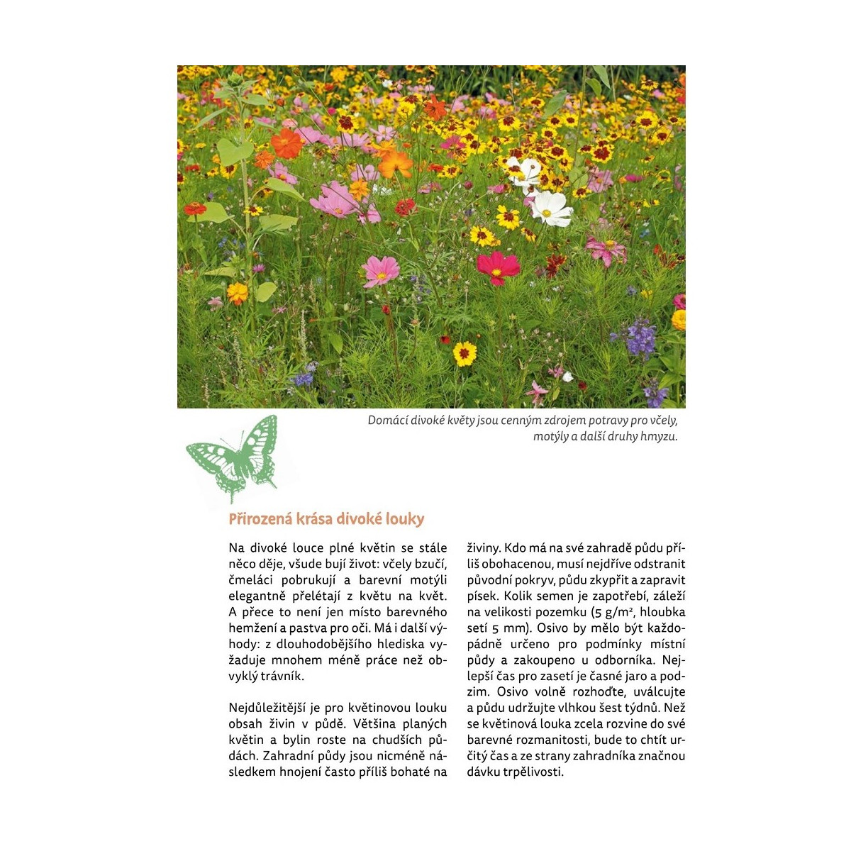 Zahrada plná života - kniha - 1 ks