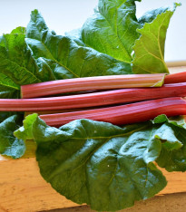 Rebarbora Red Champagne - Rheum rhabarbarum - prostokořenné sazenice - 1 ks