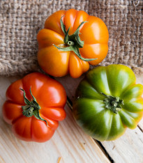 Rajče Costoluto Fiorentino - Solanum lycopersicum - semena - 7 ks