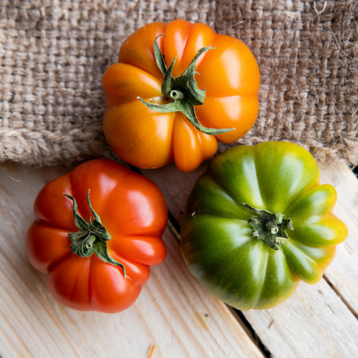 Rajče Costoluto Fiorentino - Solanum lycopersicum - semena - 7 ks