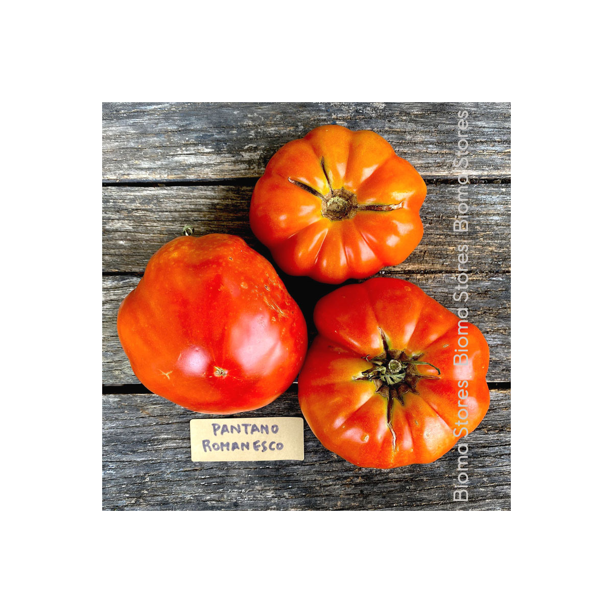 Rajče Pantano Romanesco - Solanum lycopersicum - semena - 7 ks