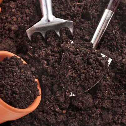 Substrát pro pokojové rostliny - substrát - 100 g