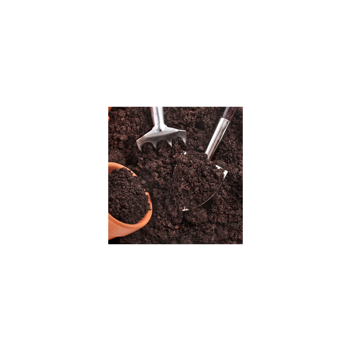 Substrát pro pokojové rostliny - substrát - 100 g