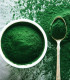 BIO Spirulina - prášek - BIO kvalita - 100 g