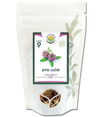 Jetel luční - Trifolium pratense - květ - 30 g