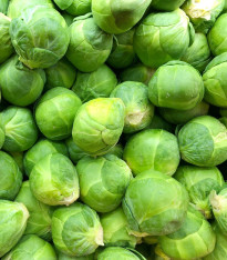 Kapusta růžičková Danet F1 - Brassica oleracea - semena - 40 ks