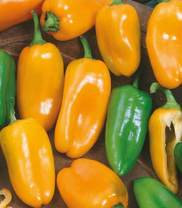 Paprika roční Hamík - Capsicum annuum - semena - 20 ks