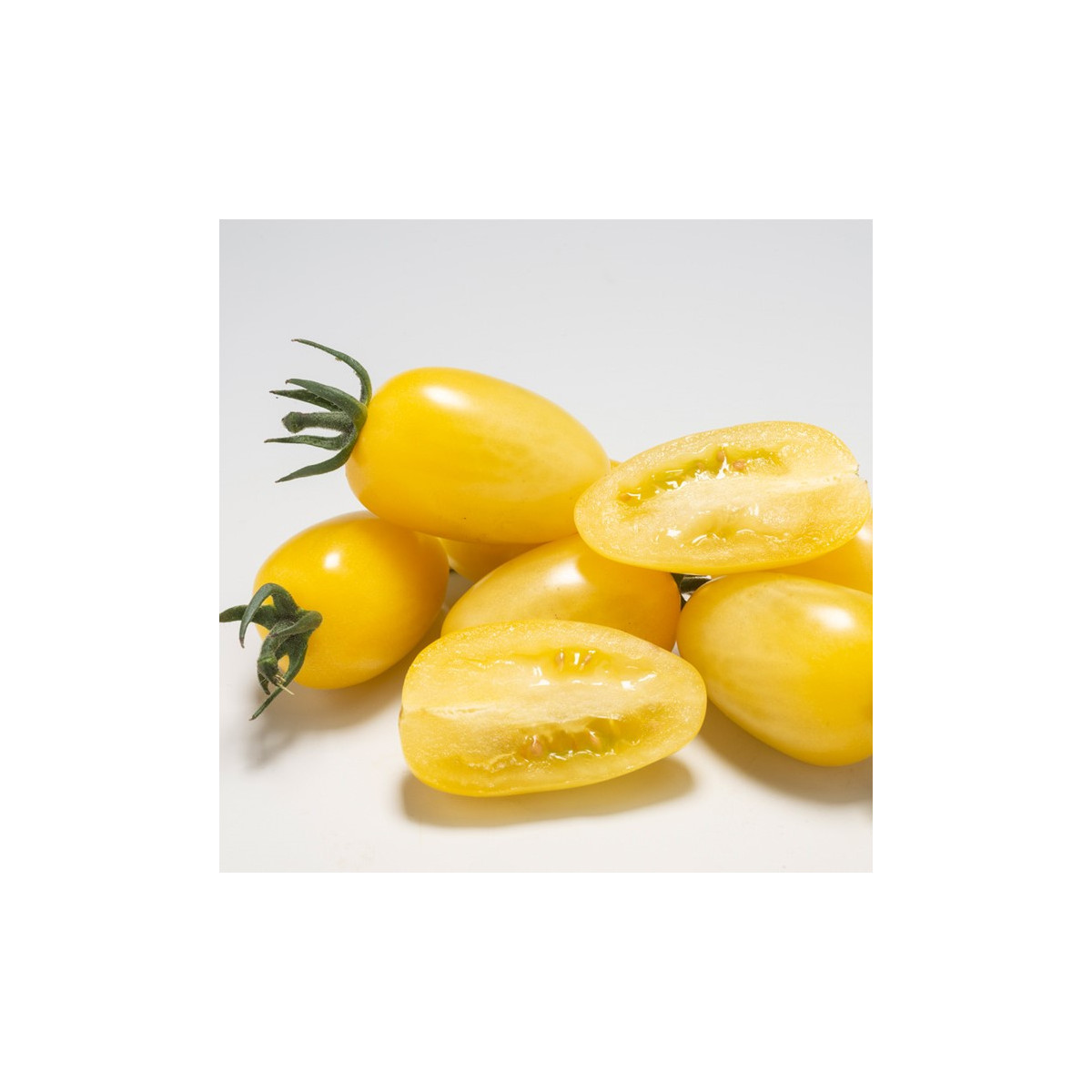 Rajče Dattolime F1 - Solanum lycopersicum - semena - 6 ks