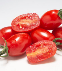Semena rajčete – Rajče Dattored F1 – Solanum lycopersicum