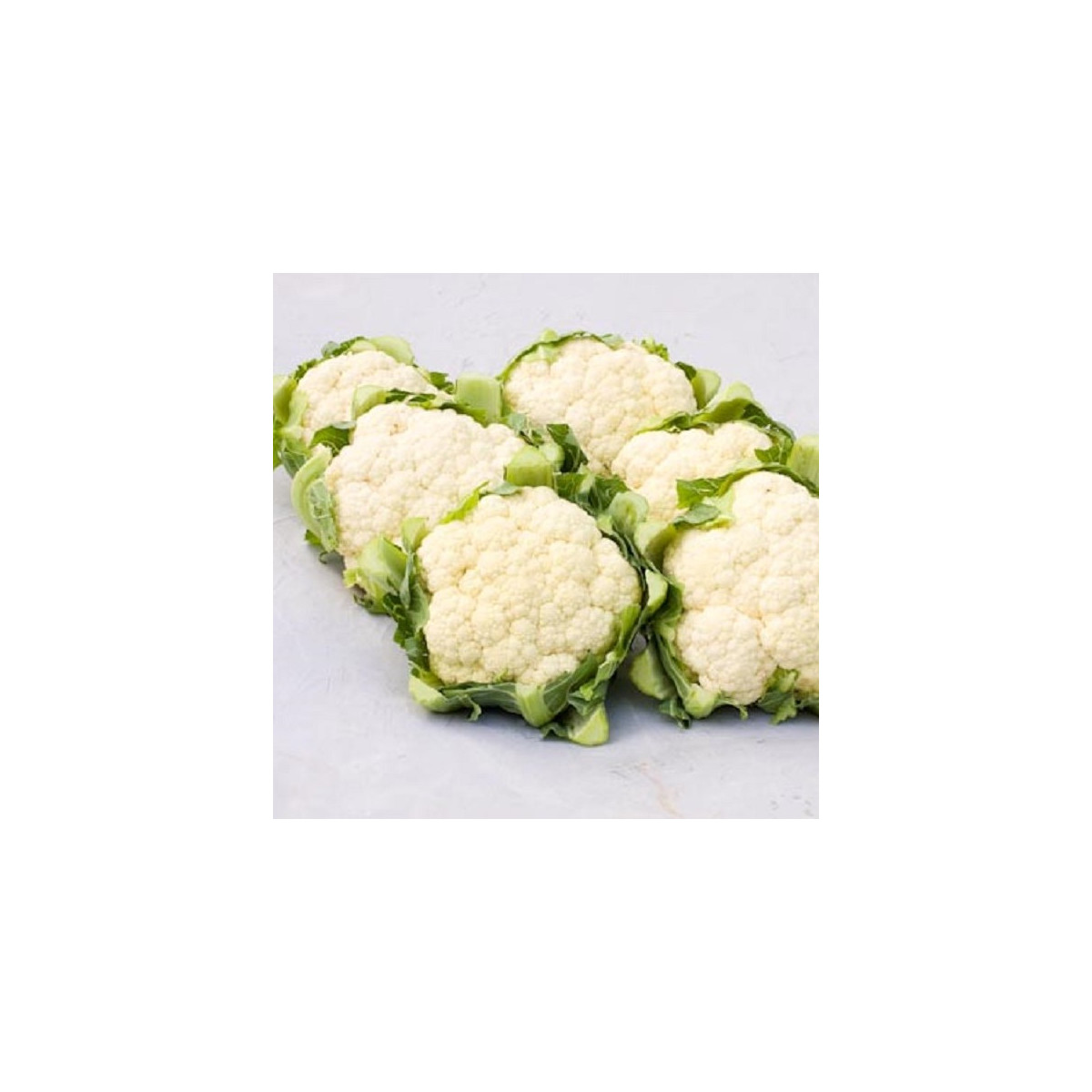 BIO Květák Amabile KS - Brassica oleracea - bio semena - 20 ks