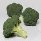 BIO Brokolice Covina F1 - Brassica oleracea L. - bio semena - 20 ks