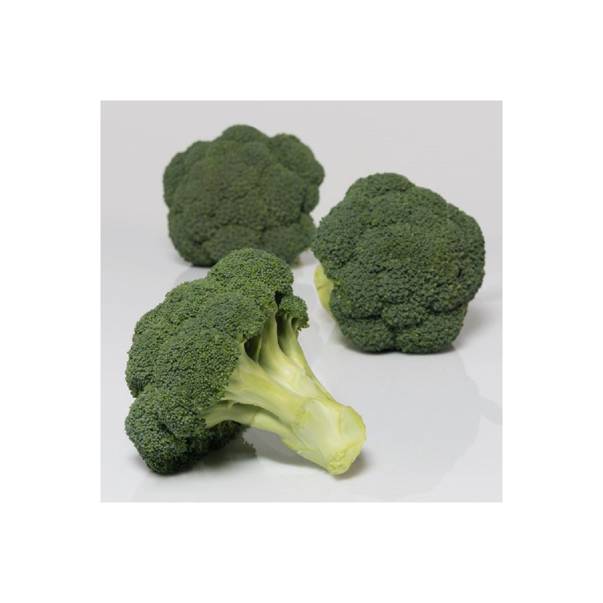 BIO Brokolice Covina F1 - Brassica oleracea L. - bio semena - 20 ks