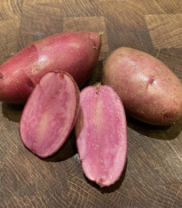 Sadbové brambory Heiderot - Solanum tuberosum - brambory - 5 ks