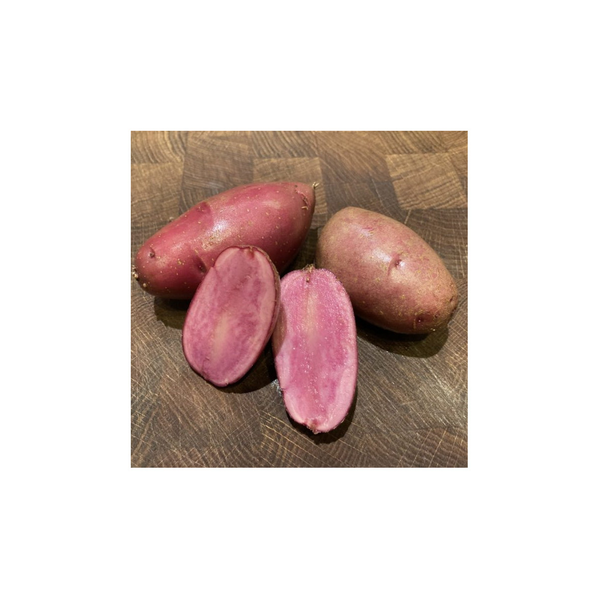 Sadbové brambory Heiderot - Solanum tuberosum - brambory - 5 ks