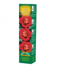 Růže velkokvětá keřová červenožlutá - Rosa - prostokořenné sazenice - 1 ks