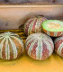 Meloun cukrový Kajari - Cucumis melo - semena - 6 ks