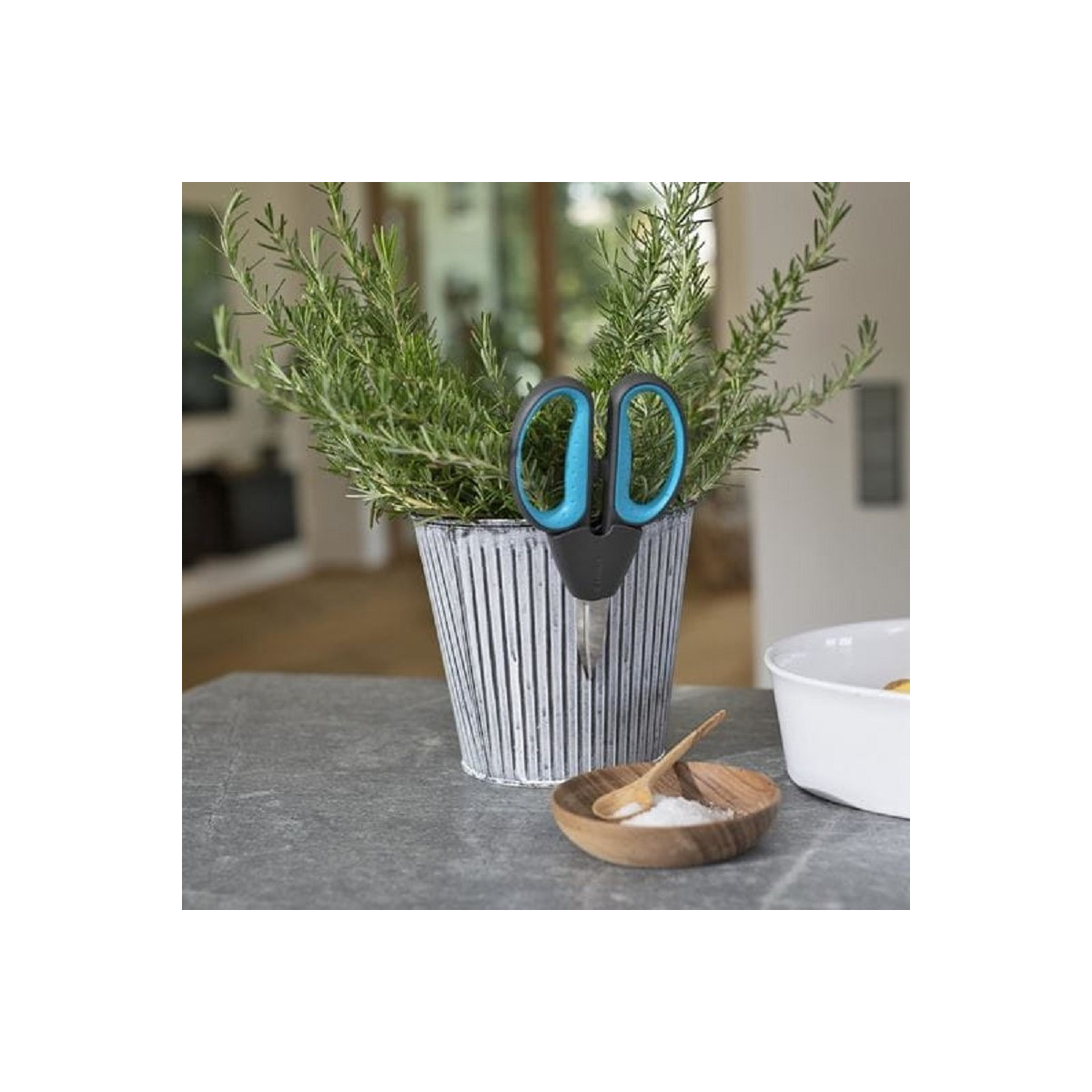 Nůžky HerbCut - sada - 1 ks