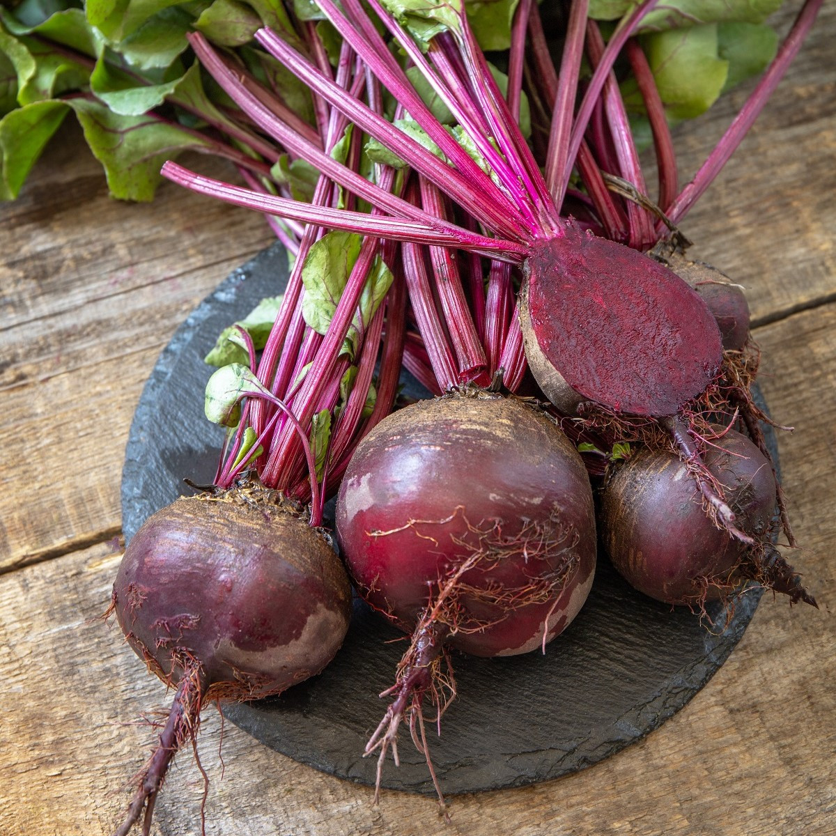 Semena červená řepa Redshine - výsevný pásek - 5 m