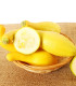 Okrasná tykev Yellow Crookneck - Cucurbita pepo - semena - 5 ks