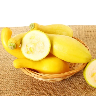 Okrasná tykev Yellow Crookneck - Cucurbita pepo - semena - 5 ks