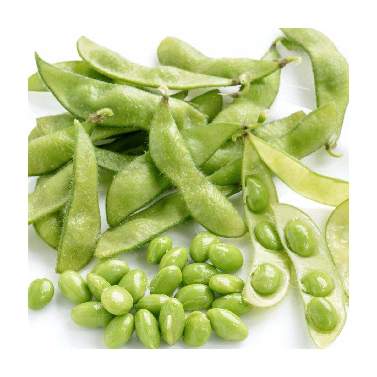 BIO Sója Green Shell - Glycine max - bio semena - 20 ks