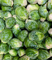 BIO Kapusta růžičková Dagan F1 - Brassica oleracea - bio semena - 20 ks