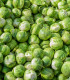 BIO Kapusta růžičková Hemera F1 - Brassica oleracea - bio semena - 20 ks