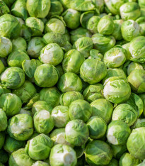 BIO Kapusta růžičková Hemera F1 - Brassica oleracea - bio semena - 20 ks